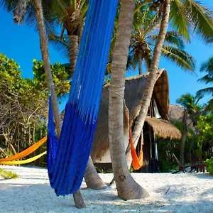 playa-selva.allrivieramayahotels.com/